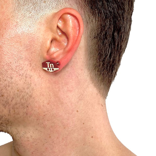 Air Max Tn Red Earrings