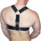 Nike Air Max Harness